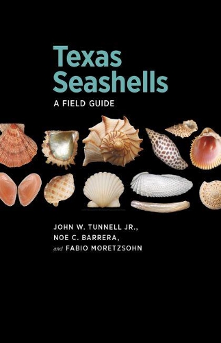 Паперова книга «Texas Seashells: A Field Guide», авторів Фабіо Морецсон, Джон В. Таннелл-молодший, Тепер К. Баррера - фото №1