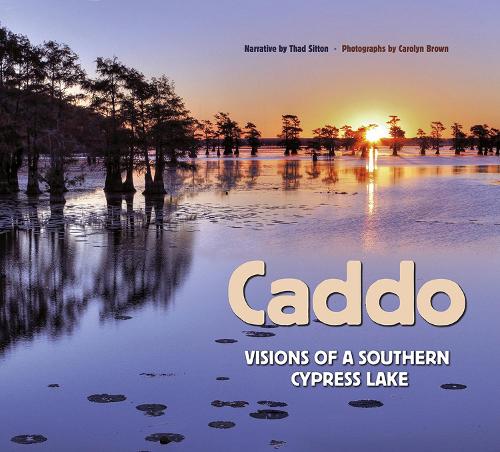Бумажная книга «Caddo: Visions of a Southern Cypress Lake», автор Тад Ситтон - фото №1