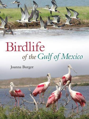 Паперова книга «Birdlife of the Gulf of Mexico», автор Джоанна Бургер - фото №1