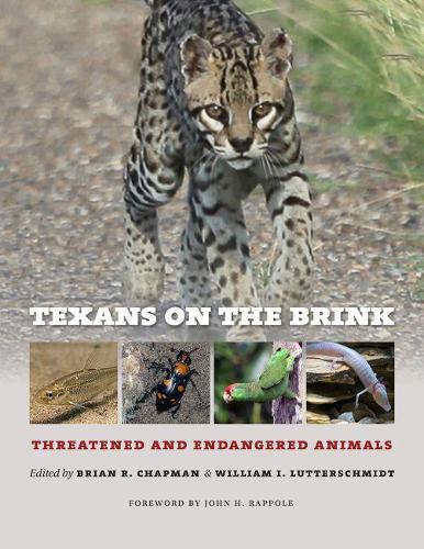 Бумажная книга «Texans on the Brink: Threatened and Endangered Animals», авторов Брайан Р. Чепмен, Уильям И. Люттершмидт - фото №1