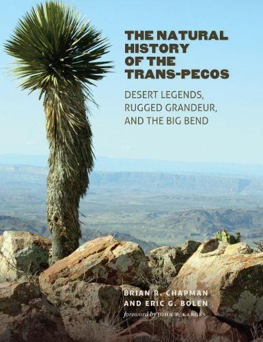 Бумажная книга «The Natural History of the Trans-Pecos: Desert Legends, Rugged Grandeur, and the Big Bend», авторов Брайан Р. Чепмен, Эрик Г. Болен - фото №1