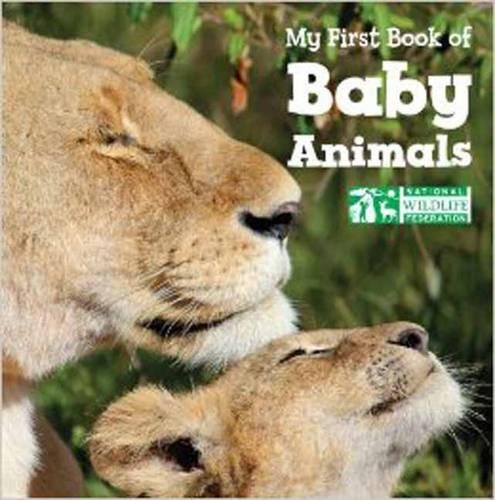 Бумажная книга «My First Book of Baby Animals (National Wildlife Federation)», автор National Wildlife Federation - фото №1
