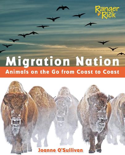 Бумажная книга «Migration Nation (National Wildlife Federation): Animals on the Go from Coast to Coast», автор Джоанн О'Салливан - фото №1