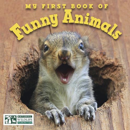 Бумажная книга «My First Book of Funny Animals (National Wildlife Federation)», автор National Wildlife Federation - фото №1