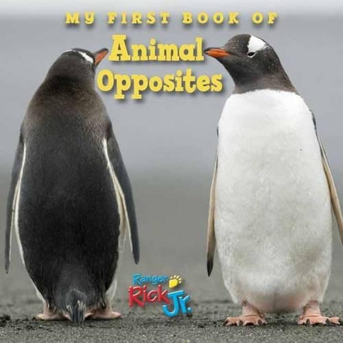 Бумажная книга «My First Book of Animal Opposites (National Wildlife Federation)», автор National Wildlife Federation - фото №1