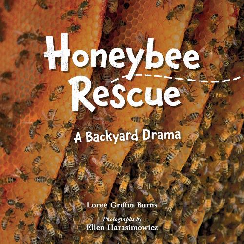 Паперова книга «Honeybee Rescue: A Backyard Drama», автор Лорі Гріффін Бернс - фото №1