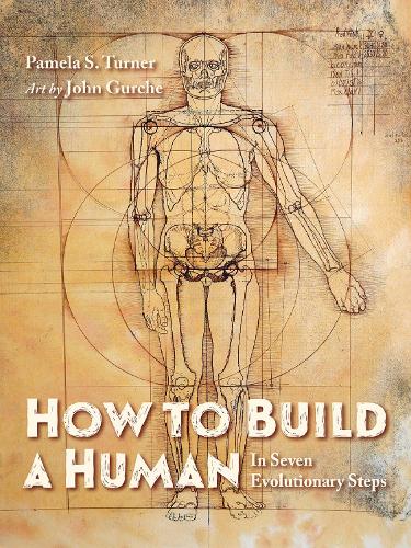 Бумажная книга «How to Build a Human», авторов Джон Гурче, Памела С. Тернер - фото №1