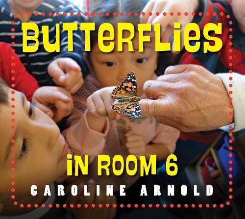 Бумажная книга «Butterflies in Room 6: See How They Grow», автор Каролина Арнольд - фото №1