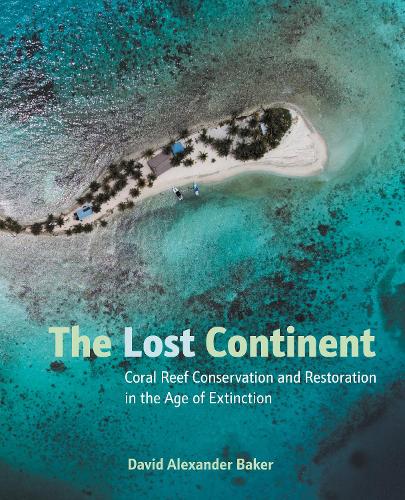 Паперова книга «The Lost Continent», автор Девід Бейкер - фото №1