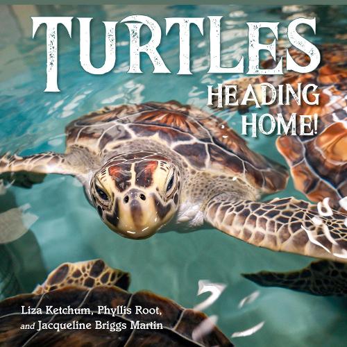 Бумажная книга «Turtles Heading Home!», авторов Жаклин Мартин, Лайза Кетчум - фото №1