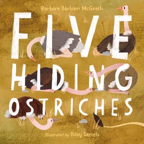 Паперова книга «Five Hiding Ostriches», автор Барбара Барбіері Макграт - фото №1