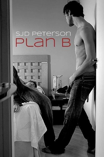 Бумажная книга «Plan B», автор С.Дж.Д. Петерсон - фото №1