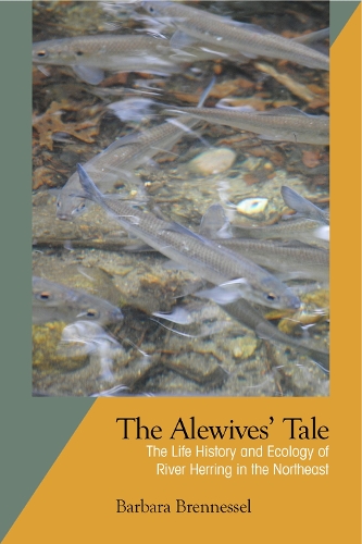 Бумажная книга «The Alewives Tale: The Life History and Ecology of River Herring in the Northeast», автор Барбара Бреннессель - фото №1