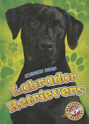 Бумажная книга «Labrador Retrievers Labrador Retrievers», автор Крис Боуман - фото №1