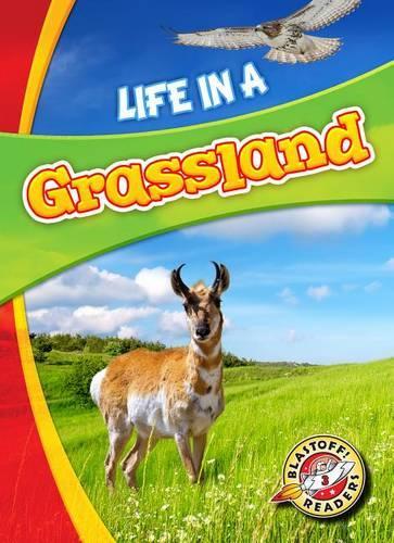 Паперова книга «Life in a Grassland», автор Лаура Гамільтон Ваксман - фото №1