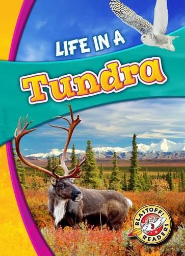 Паперова книга «Life in a Tundra», автор Карі Шюц - фото №1