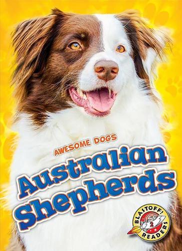 [object Object] «Australian Shepherds», автор Доміні Браун - фото №1