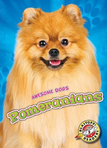 [object Object] «Pomeranians», автор Доміні Браун - фото №1