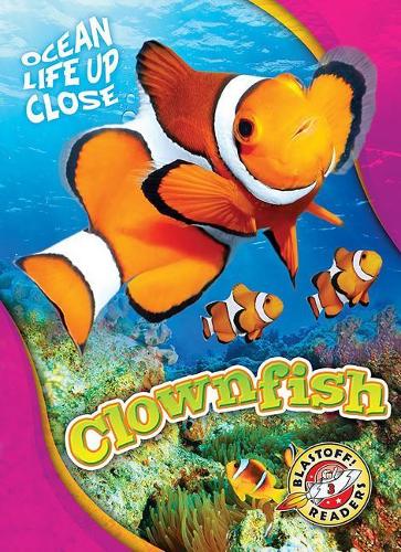 Паперова книга «Clownfish», автор Карі Шюц - фото №1