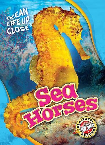 Паперова книга «Sea Horses», автор Крістіна Ліф - фото №1