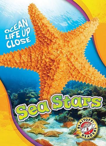Бумажная книга «Sea Stars», автор Ребекка Петтифорд - фото №1