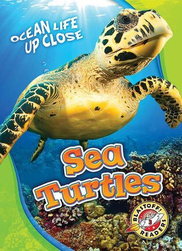 Бумажная книга «Sea Turtles», автор Кари Шутц - фото №1