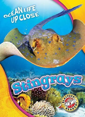 Бумажная книга «Stingrays», автор Ребекка Петтифорд - фото №1