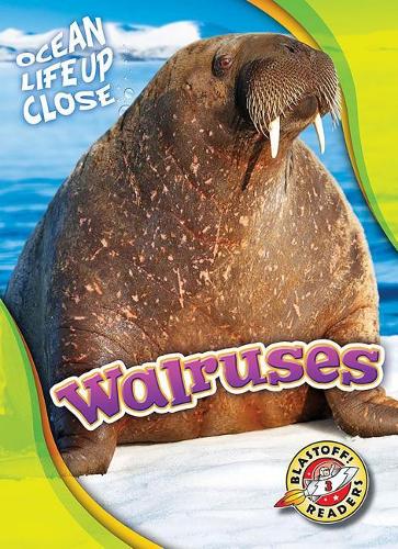 Бумажная книга «Walruses», автор Кари Шутц - фото №1