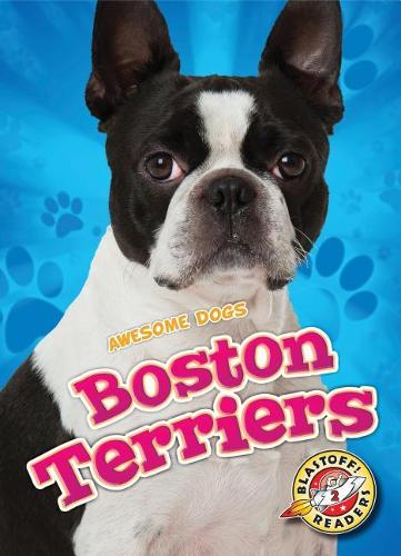 Бумажная книга «Boston Terriers», автор Кристина Лиф - фото №1