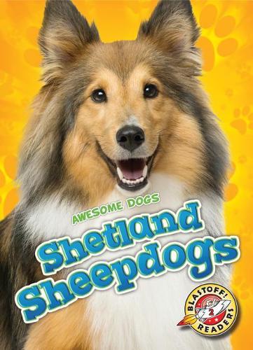 Паперова книга «Shetland Sheepdogs», автор Крістіна Ліф - фото №1