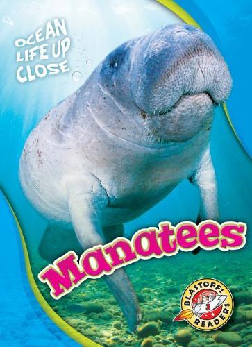 Бумажная книга «Manatees», автор Ребекка Петтифорд - фото №1