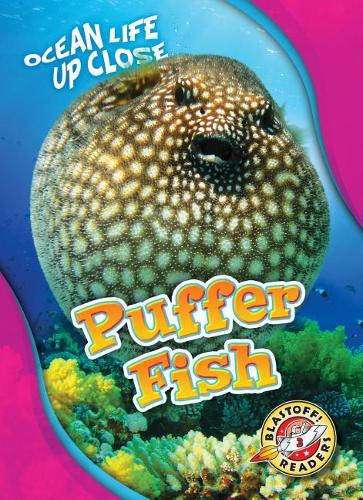 Бумажная книга «Puffer Fish», автор Ребекка Петтифорд - фото №1