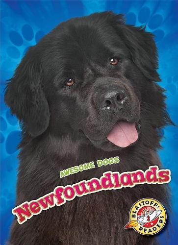 Бумажная книга «Newfoundlands», автор Натан Соммер - фото №1