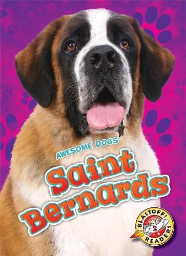Бумажная книга «Saint Bernards», автор Натан Соммер - фото №1