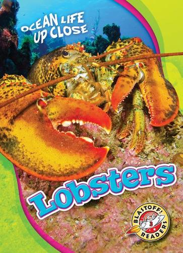 Паперова книга «Lobsters», автор Хізер Адамсон - фото №1