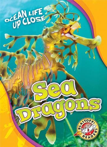 Паперова книга «Sea Dragons», автор Хізер Адамсон - фото №1