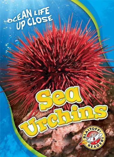 Бумажная книга «Sea Urchins», автор Хизер Адамсон - фото №1