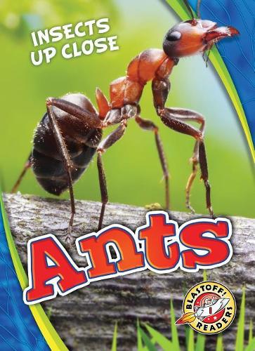 Бумажная книга «Ants», автор Патрик Периш - фото №1