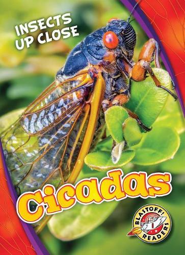 Бумажная книга «Cicadas», автор Кристина Лиф - фото №1