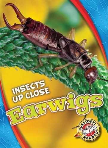 Бумажная книга «Earwigs», автор Патрик Периш - фото №1