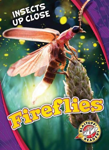 Паперова книга «Fireflies», автор Крістіна Ліф - фото №1