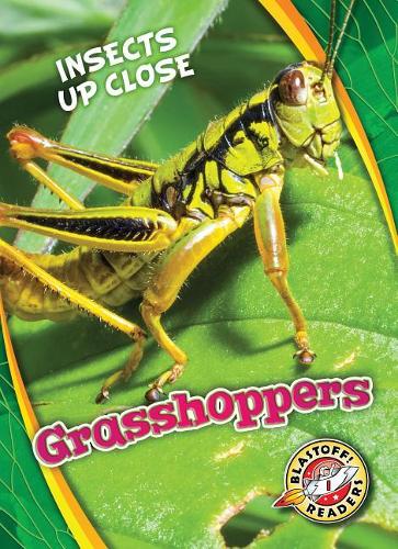 Бумажная книга «Grasshoppers», автор Патрик Периш - фото №1