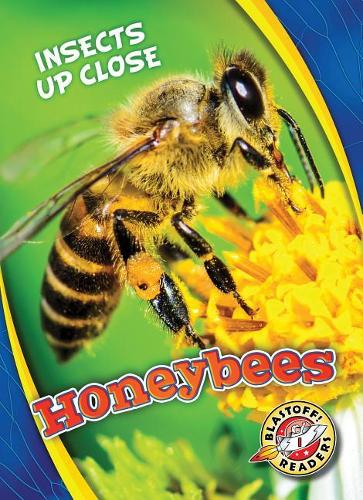 Бумажная книга «Honeybees», автор Кристина Лиф - фото №1