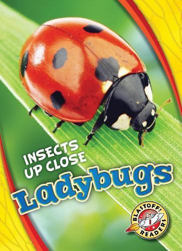 Паперова книга «Ladybugs», автор Крістіна Ліф - фото №1