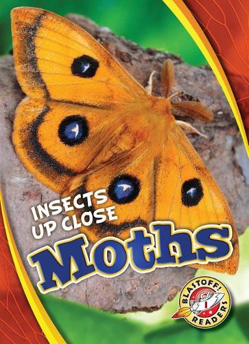 Бумажная книга «Moths», автор Патрик Периш - фото №1