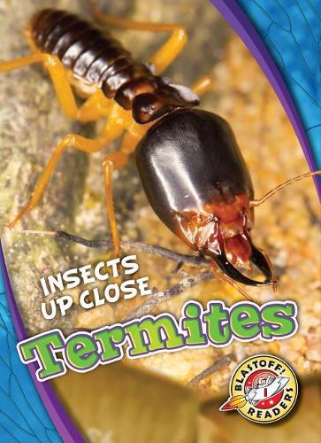 Бумажная книга «Termites», автор Патрик Периш - фото №1