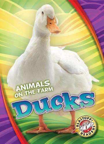Бумажная книга «Ducks», автор Кари Шутц - фото №1