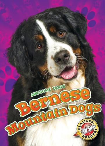 Паперова книга «Bernese Mountain Dogs», автор Ребекка Сабелко - фото №1