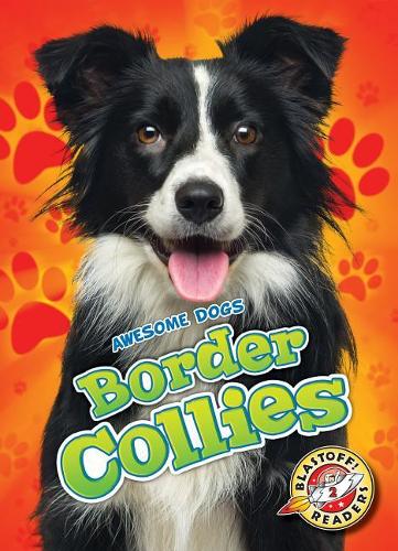 Паперова книга «Border Collies», автор Ребекка Сабелко - фото №1