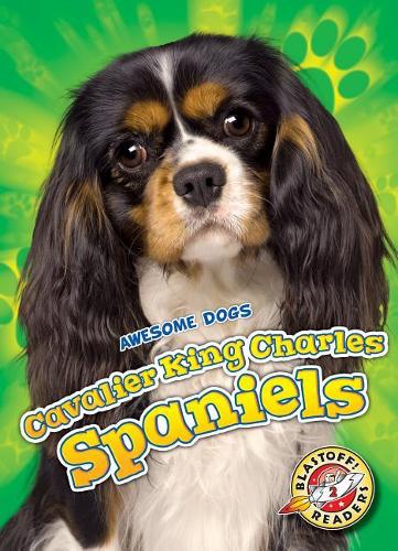 Паперова книга «Cavalier King Charles Spaniels», автор Пейдж В. Полінські - фото №1